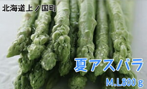 yӂ邳Ɣ[Łzy2026NĔzI_̒̂ăAXp@M`Li800gj@̂@_ƒ@VN@O[AXp@Ė؁@{؁@VLVL@Ƃꂽā@kCY