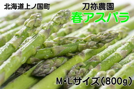 【ふるさと納税】【2026年春発送】刀祢農園の朝採り春アスパラ　M～L（800g）　グリーンアスパラ　朝採れ　農家直送　新鮮　甘い　春野菜　旬野菜　特産品　北海道産