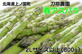 【ふるさと納税】【2026年春発送】刀祢農園の朝採り春アスパラ　2L以上（800g）　グリーンアスパラ　朝採れ　農家直送　新鮮　甘い　春野菜　旬野菜　特産品　北海道産