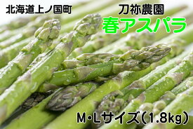【ふるさと納税】【2026年春発送】刀祢農園の朝採り春アスパラ　M～L（1.8kg）　グリーンアスパラ　朝採れ　農家直送　新鮮　甘い　春野菜　旬野菜　特産品　北海道産