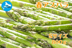 yӂ邳Ɣ[Łzy2026NtzЕ؉̒̂tAXp@Si800gj@O[AXp@̂@_ƒ@VN@Â@t؁@{؁@Yi@kCY