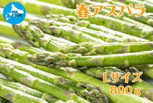 yӂ邳Ɣ[Łzy2026NtzЕ؉̒̂tAXp@Li800gj@O[AXp@̂@_ƒ@VN@Â@t؁@{؁@Yi@kCY