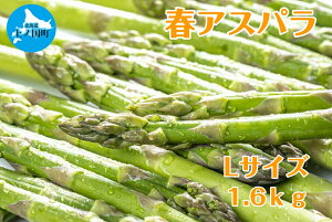 yӂ邳Ɣ[Łzy2026NtzЕ؉̒̂tAXp@Li1.6kgj@O[AXp@̂@_ƒ@VN@Â@t؁@{؁@Yi@kCY