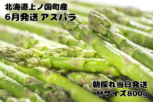 yӂ邳Ɣ[Łzy2026N6zkCmY Е؉̒̂6AXp@Mi1kgj@AXpKX@O[AXp@̂@Yn@؁@