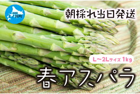 【ふるさと納税】【2026年春発送】わかさ農園の朝採り春アスパラ　L～2L（1kg）　グリーンアスパラ　朝採れ　農家直送　新鮮　甘い　春野菜　旬野菜　特産品　北海道産