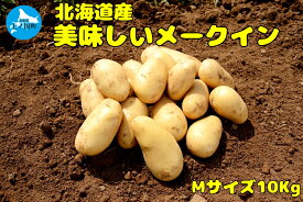 【ふるさと納税】【2025年発送】山下農園のおいしい馬鈴薯「メークイン」　Mサイズ×10kg　じゃがいも　ジャガイモ　ポテト　農家直送　いも　イモ　芋　北海道産