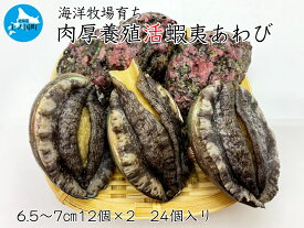 【ふるさと納税】 緊急支援品 あわび 北海道 上ノ国町 海洋牧場育ち 養殖 活蝦夷あわび（6.5～7cm×12個×2　24個） 活あわび 活アワビ 鮑 新鮮 海鮮 産地直送 魚介類 お刺身 お祝い 貝 美味しさに訳あり おせち食材 ステーキ 高級海鮮 バーベキュー 酒蒸し バター焼き