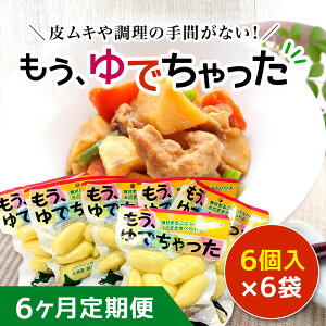 yӂ邳Ɣ[Łzy6ցzł 6×6 ӂ邳Ɣ[ lC  LO XC[g|eg 啟 ܂ Tc}C  N[ kC  