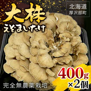 yӂ邳Ɣ[ŁzkC򕔒Y@劔܂@400g×2 ӂ邳Ɣ[ lC  LO ܂ ܂  }C^P  VՂ Ă X` uߕ kC 