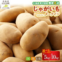 楽天市場】じゃがいも mサイズ 10kgの通販