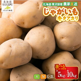 【ふるさと納税】【先行予約 令和8年9月発送】北海道厚沢部町産 キタアカリ 選べる 約5kg～10kg Sサイズ Mサイズ L・2Lサイズ じゃがいも ジャガイモ あっさぶ・ささき直売所 産地直送