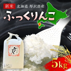 【ふるさと納税】【令和5年産新米】北海道厚沢部産ふっくりんこ5kg※2023年11月新米からお届け ふるさと納税 人気 おすすめ ランキング 米 ご飯 ごはん 白米 ふっくりんこ 精米 つや 粘り 北海道 厚沢部 送料無料 ASG026