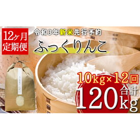 楽天市場 ふるさと納税 米 kg 品種 米 ふっくりんこ の通販 楽天市場 ふるさと納税 米 kg 品種 米 ふっくりんこ の通販