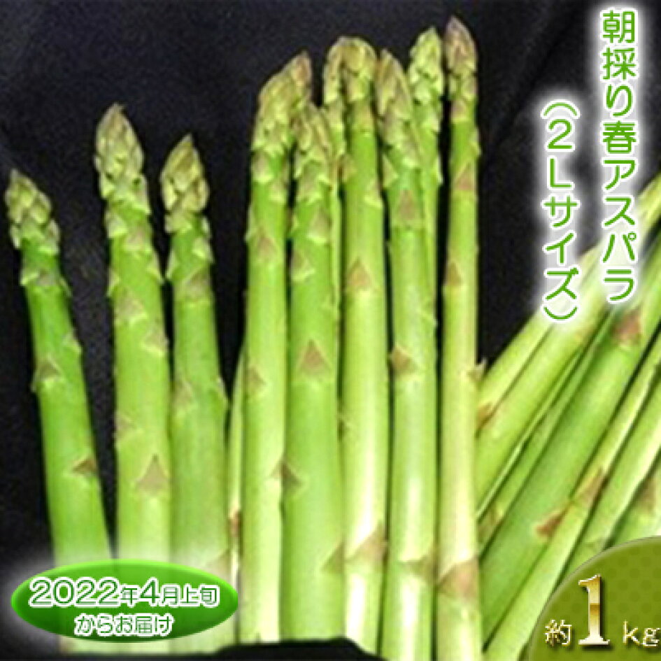 人気定番 あっさぶメークイン約10kg お届け stats.lejournal.cnrs.fr 人気定番 あっさぶメークイン約10kg お届け stats.lejournal.cnrs.fr