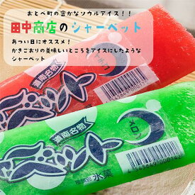 【ふるさと納税】 ＜田中商店　フルーツシャーベット詰め合わせ(イチゴ味10本、メロン味10本)＞昔なつかしの味！北海道 乙部町 シャーベット アイス 夏 暑い日 おすすめ 懐かしい レトロ 熱中症対策 夏の味 ソウルフード