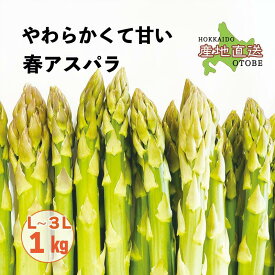 【ふるさと納税】＜北海道産 春採れグリーンアスパラ　1kg＞ 甘さ広がる春の味覚！ 北海道 北海道産 国産 産地直送 乙部町 旬 新鮮 採れたて 農家直送 あすぱら アスパラガス 野菜 冷蔵配送 L以上 お取り寄せ 送料無料