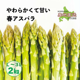【ふるさと納税】＜北海道産 春採れグリーンアスパラ　2kg＞ 甘さ広がる春の味覚！ 北海道 北海道産 国産 産地直送 乙部町 旬 新鮮 採れたて 農家直送 あすぱら アスパラガス 野菜 冷蔵配送 L以上 お取り寄せ 送料無料