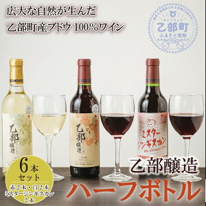 yӂ邳Ɣ[Łz C@ԁE+~X^\WMXJ@n[t{g6{ZbgkCY@360ml×6{ xCi[ ԃC C n[t{g kC kCY GI Hokkaid