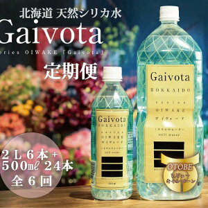 yӂ邳Ɣ[Łz ց@Gaivota2i500ml×24{{2L×6{j×6񕪁@k̃nCO[hHi@kC̓VRVJ ~lEH[^[ VJEH[^[  kC  VR
