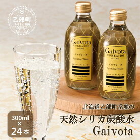 【ふるさと納税】＜Gaivota炭酸水　2箱（300ml×12本/箱）＞ 北のハイグレード食品 天然シリカ 炭酸水 北海道 乙部町 ミネラルウォーター 水 炭酸水 天然シリカ水 スパークリング 軟水 美容 ケイ素 無添加 美のミネラル シリカ ガイヴォータ 美肌 ミネラル 送料無料