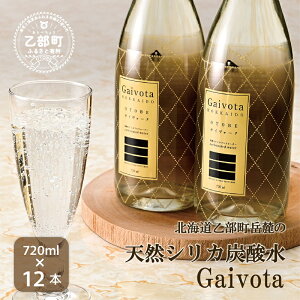 yӂ邳Ɣ[ŁzGaivotaY_@r1(720ml×12{) k̃nCO[hHi VRVJ Y_ kC  ~lEH[^[  Y_ VRVJ Xp[NO  e PCf 