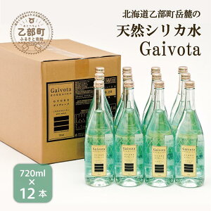 yӂ邳Ɣ[ŁzGaivota@r1(720ml×12{)k̃nCO[hHi VRVJ kC  ~lEH[^[  VRVJ Xp[NO  e PCf Y ̃~l 