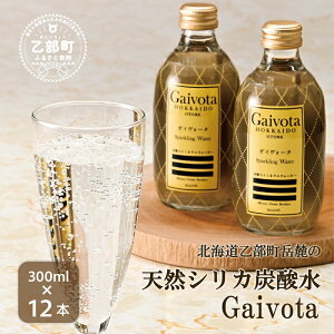 yӂ邳Ɣ[ŁzGaivotaY_@1i300ml×12{/j k̃nCO[hHi VRVJ Y_ kC  ~lEH[^[  Y_ VRVJ Xp[NO  e PC