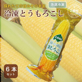 【ふるさと納税】甘さにビックリ！鮮度そのまま《ささや農園産 極★凍結とうもろこし：6本》＜ 北海道 道産 国産 乙部町 とうもろこし とうきび コーン 冷凍 急速冷凍 鮮度そのまま 甘さ 糖度 個包装 ゴールドラッシュ 恵味ゴールド ＞