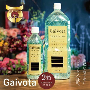 yӂ邳Ɣ[ŁzGaivota 1i500ml×24{/j+1i2L×6{/k̃nCO[hHi VRVJ ~lEH[^[  kCY Y kC  VR e PCf Y VJ 