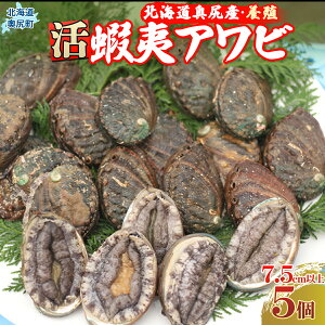 yӂ邳Ɣ[ŁzKYڈ΃Ari{Bj5P75mmȏ ӂ邳Ɣ[   Ar ڈ΂ ڈ΃Ar ڈ  ڈ΃Ar kC K  OKUF009
