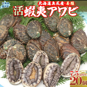 yӂ邳Ɣ[ŁzKYڈ΃Ari{Bj20P75mmȏ ӂ邳Ɣ[   Ar ڈ΂ ڈ΃Ar ڈ  ڈ΃Ar kC K  OKUF011