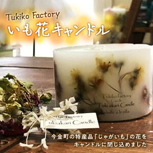 yӂ邳Ɣ[ŁzTukiko Factory ԃLh F21W-099