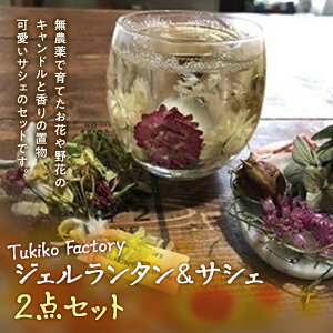 yӂ邳Ɣ[ŁzTukiko Factory WF^TVFZbg F21W-103