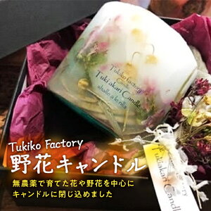 yӂ邳Ɣ[ŁzTukiko Factory ԃLh F21W-104