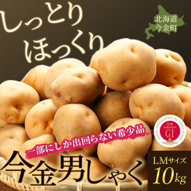 【ふるさと納税】【先行予約】今金男しゃく（LMサイズ）約10kg【GI認証取得】（2025年10月～11月下旬までに発送）じゃがいも 男爵 いも だんしゃく 野菜 幻 北海道 今金町 GI認証 LMサイズ 10kg F21W-286