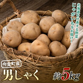 【ふるさと納税】【先行予約】北海道今金町産男爵いも 約5kg 【2025年10月下旬以降順次出荷】 北海道産 じゃがいも ジャガイモ だんしゃく 野菜 ほくほく しっとり 常備野菜 F21W-485