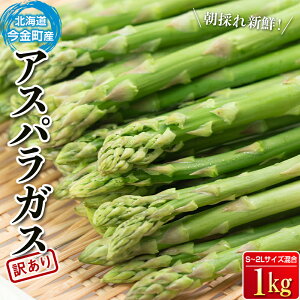 yӂ邳Ɣ[Łzys\zy󂠂ẑVNAXp 1kgiS`2LTCYj (2026N3{~6{܂2026N7{~9{)  kCY o[xL[ BBQ Lv {