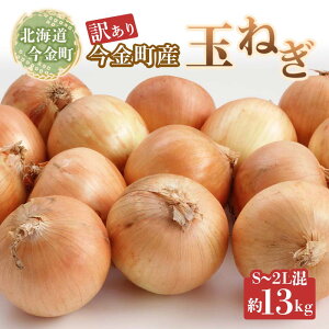 yӂ邳Ɣ[Łzys\zy󂠂zYʂ˂13kg(S`2LTCYj kC ʂ˂ ʔK ܂˂ kCY s 󂠂 e   F21W-398