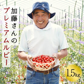 【ふるさと納税】北海道産高糖度フルーツミニトマト　加藤さんのプレミアムルビー　1.5kg