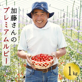 【ふるさと納税】北海道産高糖度フルーツミニトマト　加藤さんのプレミアムルビー　1kg