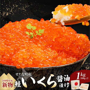 yӂ邳Ɣ[ŁzyVzkC ȒY JX ݖЂ 1kg(500g×2pbN) VRH    pX^ ʔ Ⓚ CN