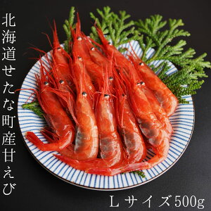 yӂ邳Ɣ[ŁzytzkCY Â LTCY500g hg g  X` i Ⓚ VՂ { CN Ȓ