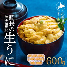 【ふるさと納税】【2026年6月上旬から順次発送】【海洋深層水使用】北海道産 生うに 120g×5個 キタムラサキウニ 直送 旬 パスタ 寿司 焼き うに丼 海鮮 せたな町