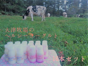 yӂ邳Ɣ[ŁzyÖq 肽ă~NgpzkCY ̂ރ[Og wV[Zbg 16{ v[ r[c _CGbg Yn Ȓ