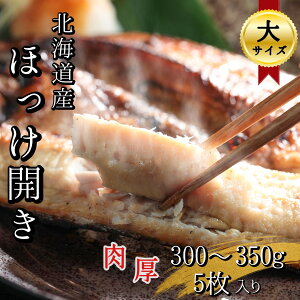 yӂ邳Ɣ[ŁzyTCYzkCY قJ 5(v1.5~1.75kg) ^pbN {   Ⓚ 銱 CN Ȓ