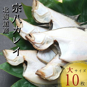 yӂ邳Ɣ[Łzyt@IzkCY @ꂢ TCY10(2kg) 銱 t   ϕt Ă g CN Ȓ