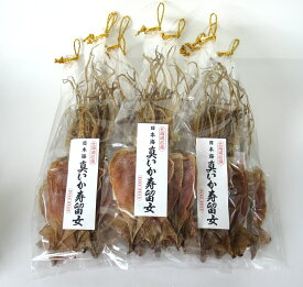 【ふるさと納税】【無添加】北海道産 するめ 62枚セット するめいか 産地直送 ダイエット 炙り おつまみ 海鮮 せたな町