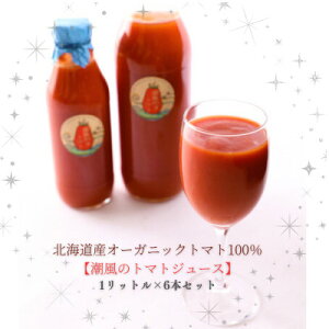 yӂ邳Ɣ[ŁzykCYL@g}g100%!zYőfނ̖ɂxt[cg}gW[X@1L×6{y1486281z