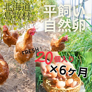 yӂ邳Ɣ[Łzyցznbs[vCX̎Rynbs[܂z20(S6)yzsnFzy4012334z