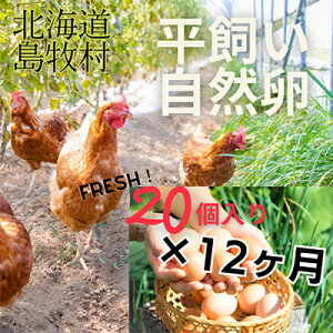 yӂ邳Ɣ[Łzyցznbs[vCX̎Rynbs[܂z20(S12)yzsnFzy4012335z